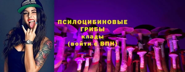шишки Навашино