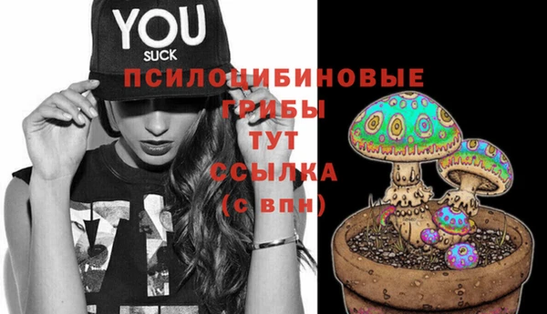 MESCALINE Надым